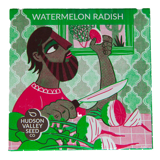 Organic Watermelon Radish Art Pack