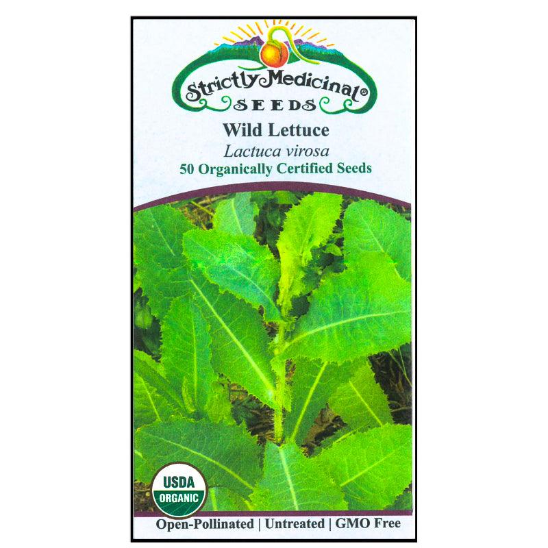 lettuce seeds or plants Wild Lettuce Seeds (Organic)