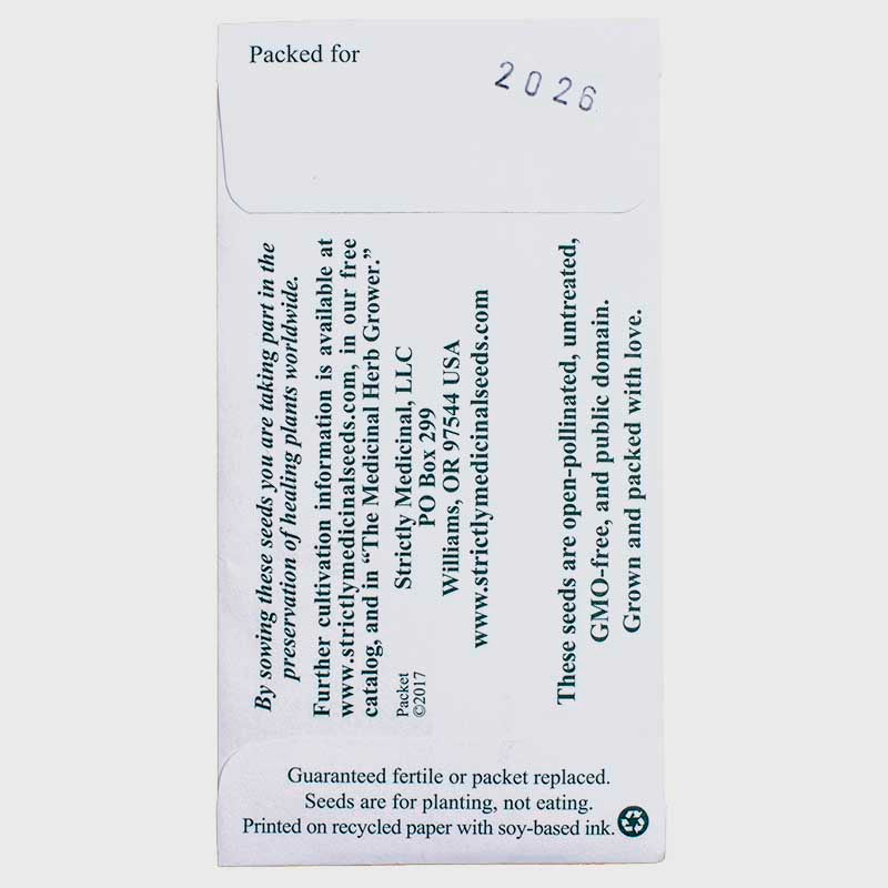 Styrian Pumpkin Seeds (Organic) Strictly Medicinal