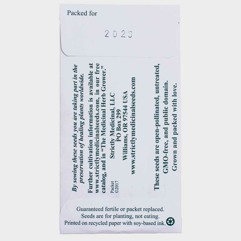 Pitcher Sage Seeds (Organic) Strictly Medicinal