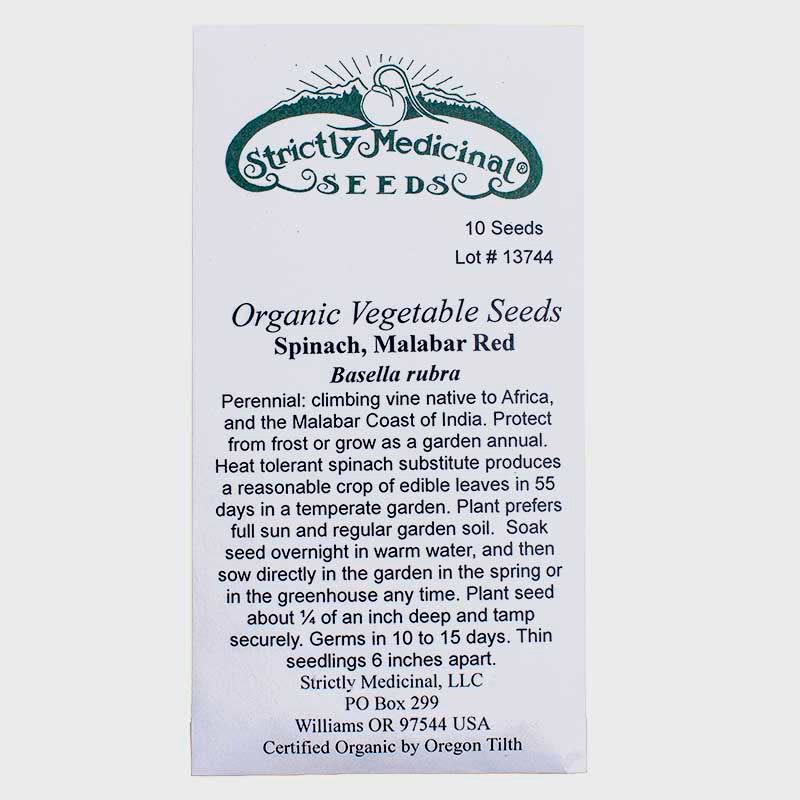 Malabar Spinach Seeds (Organic) Strictly Medicinal
