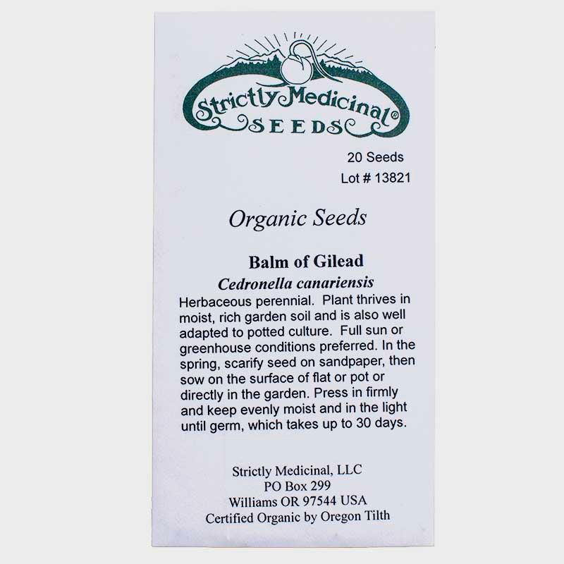 Balm of Gilead Seeds (Organic) Strictly Medicinal
