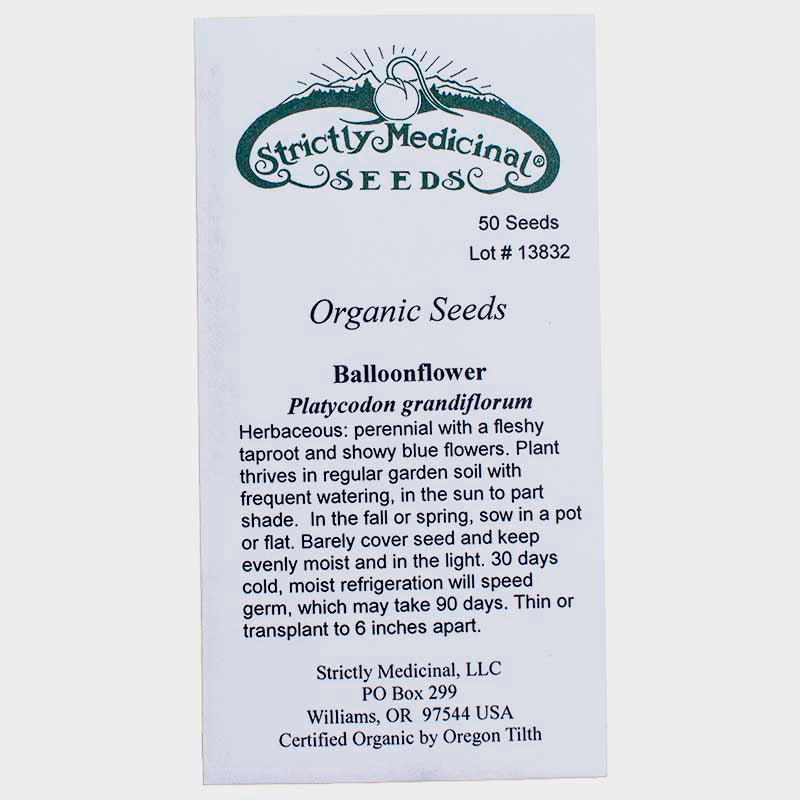 Balloonflower Seeds (Organic) Strictly Medicinal