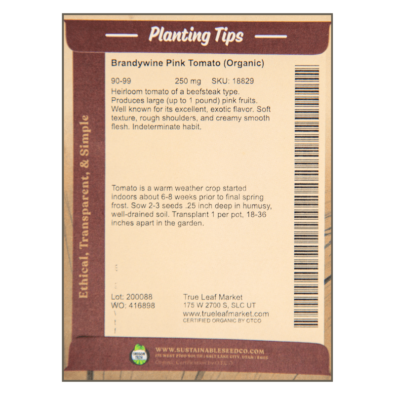 Brandywine Pink Tomato (Organic) - Grow Organic