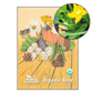 Cocozelle Summer Squash (Organic)