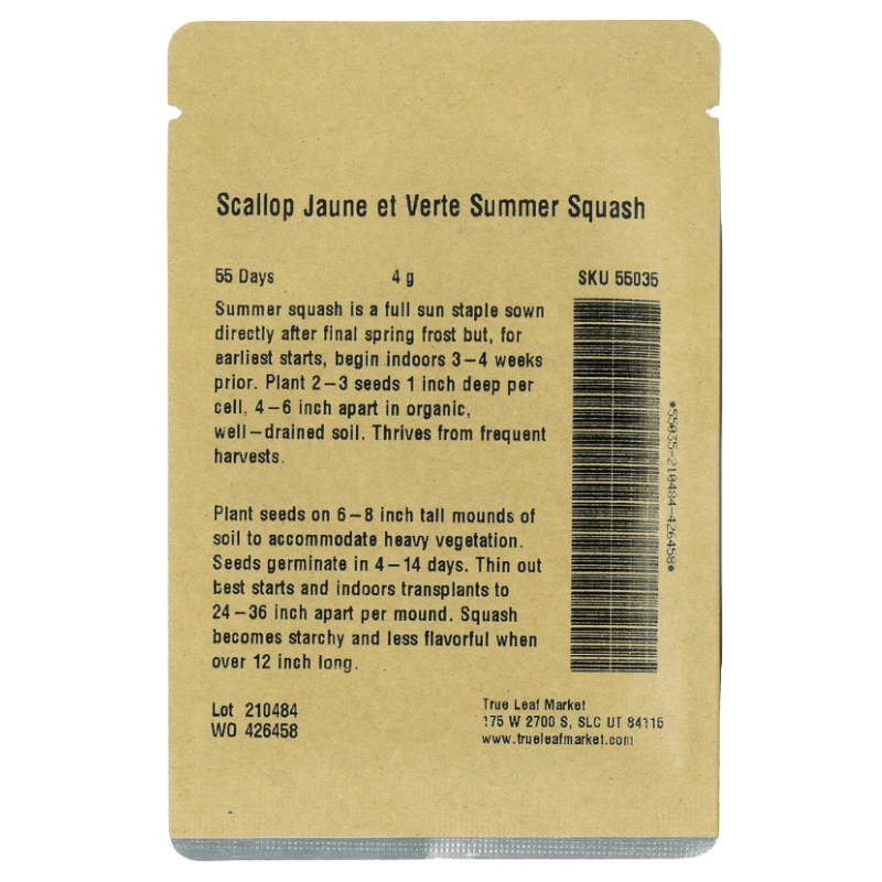 Scallop Jaune et Verte Summer Squash - Grow Organic