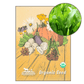 Sorrel (Organic)