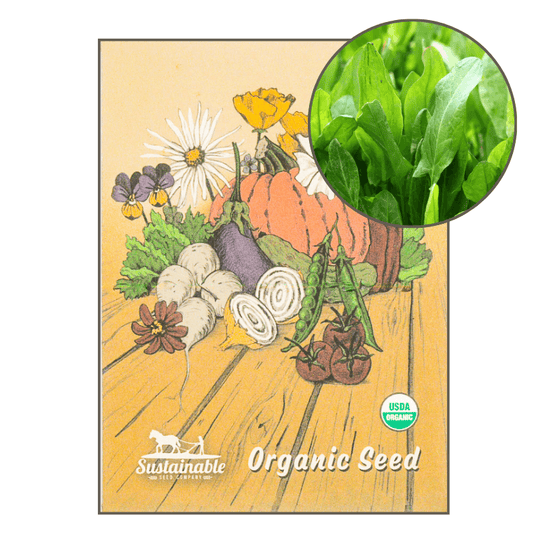 Sorrel (Organic)