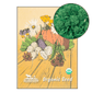 Spring Rapini Broccoli (Organic) - Grow Organic