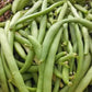 Pile of Black Valentine Dry Snap Beans