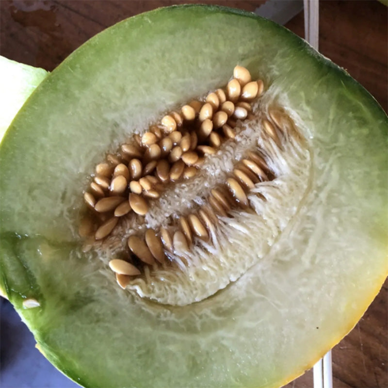 Ha'Ogen Melon Split in half Green Flesh on display 