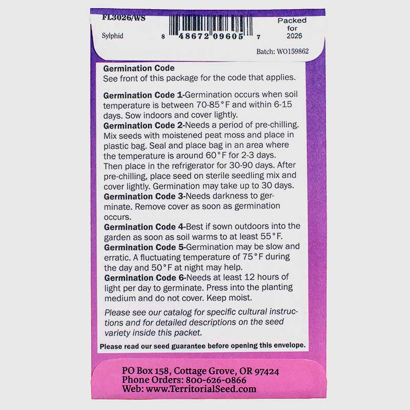 Sylphid Celosia Seeds Territorial Seed Company