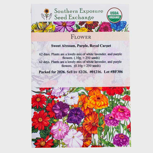 Organic Sweet Alyssum, Purple, Royal Carpet Seeds Southern Exposure Seed Exchange