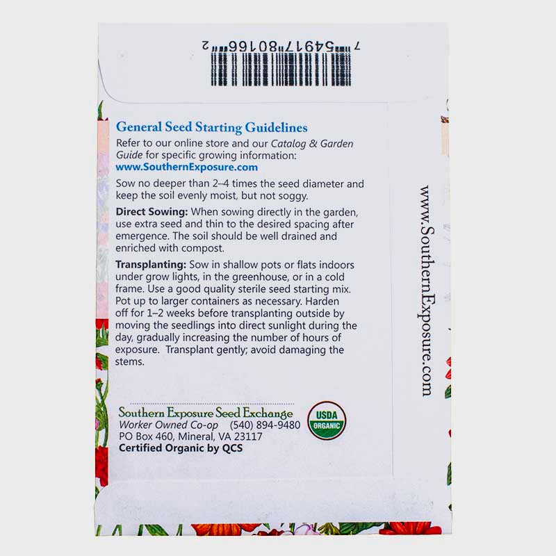 Organic Sweet Alyssum, Purple, Royal Carpet Seeds Southern Exposure Seed Exchange