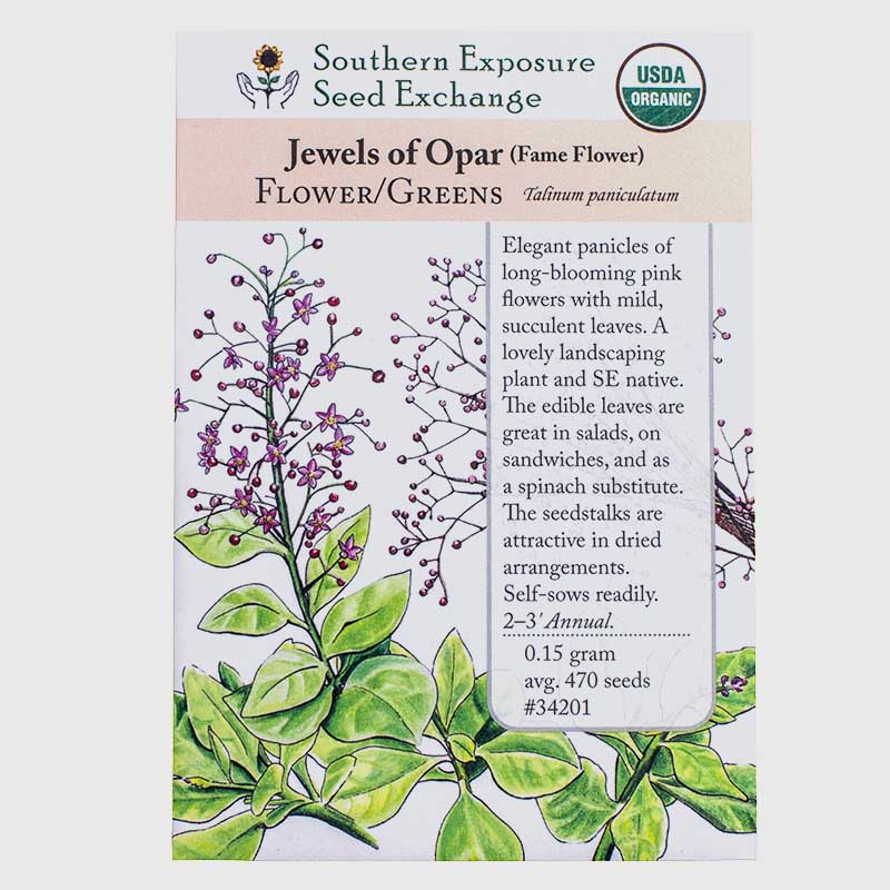 Organic Jewels of Opar - Fame Flower Seeds Southern Exposure Seed Exchange