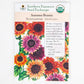 Autumn Beauty Sunflower (Organic)