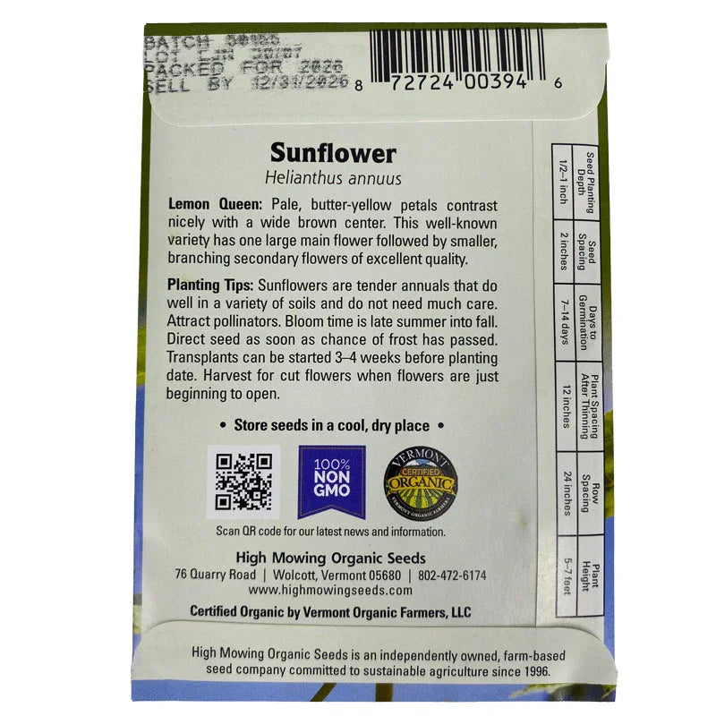 Lemon Queen Sunflower High Mowing Seeds
