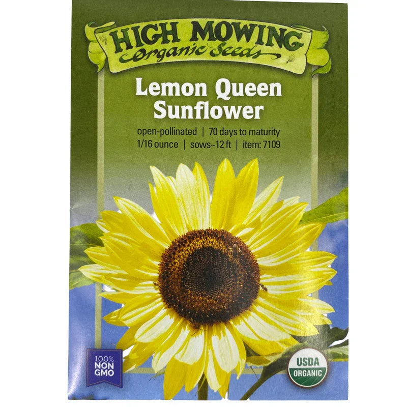 Lemon Queen Sunflower