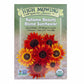 Summer of Sunflowers 3 Seeds Packets (Organic) High Mowing Seeds
