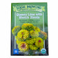 Queeny Lime with Blotch Zinnia Seeds (Organic) High Mowing Seeds
