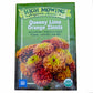 Queeny Lime Orange Zinnia Seeds (Organic) High Mowing Seeds