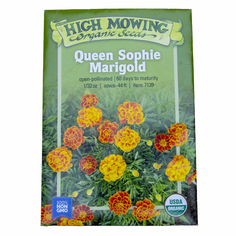 Queen Sophie Marigold Seeds (Organic) High Mowing Seeds