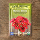 Organic Meteor Zinnia Seeds High Mowing Seeds