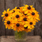 Organic Marmalade Rudbeckia Seeds High Mowing Seeds