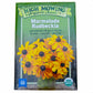 Marmalade Rudbeckia Seeds (Organic) High Mowing Seeds
