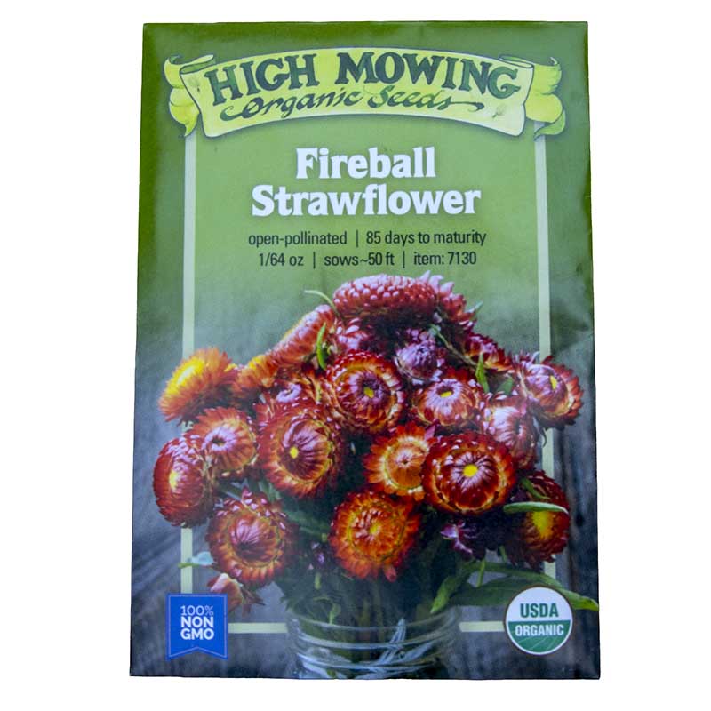 Fireball Strawflower Seeds (Organic) High Mowing Seeds