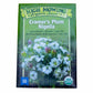 Cramer's Plum Nigella Seeds (Organic) High Mowing Seeds