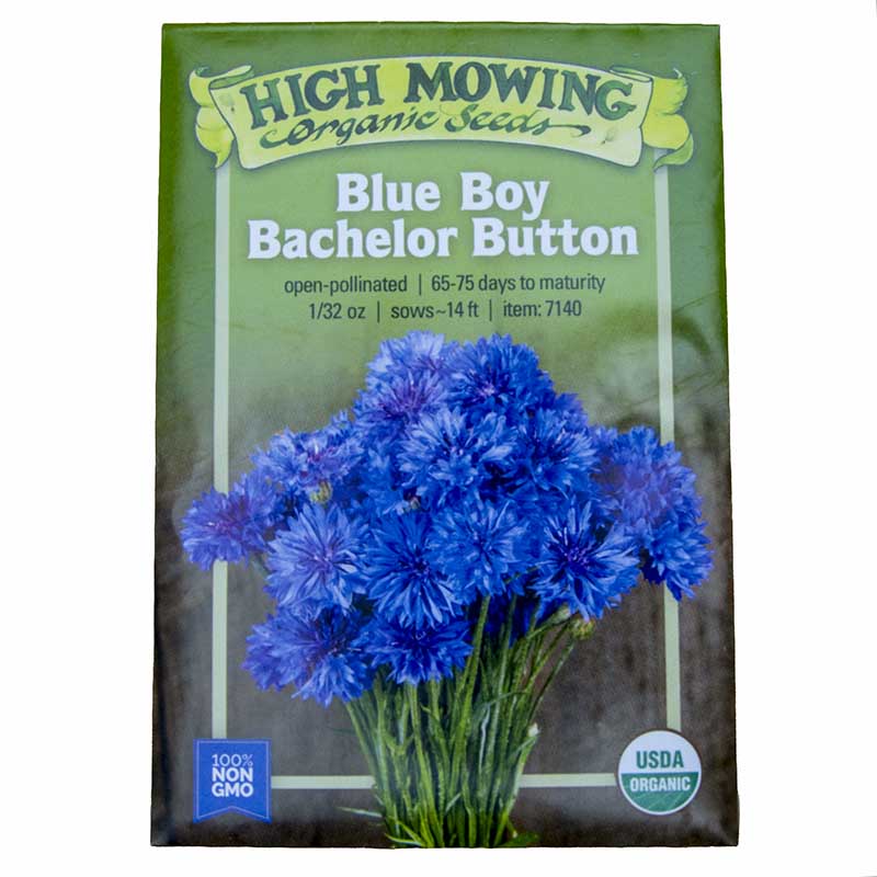 Blue Boy Bachelor Button Seeds (Organic) High Mowing Seeds