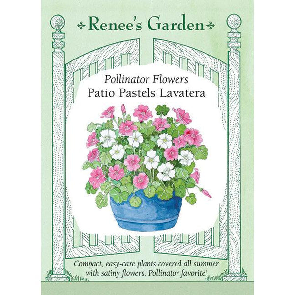 Lavatera Patio Pastels – Grow Organic