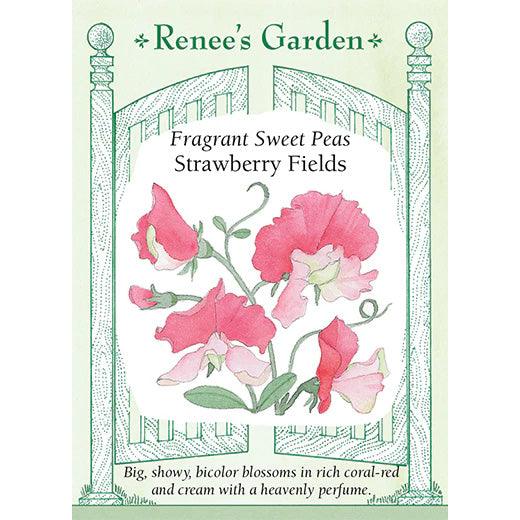 Strawberry Fields Sweet Pea Renee's Garden