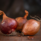 Organic Shallots, French Red (lb)
