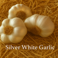 Full of Flavor Curated Organic Garlic Pack Grow Organic