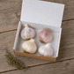 Gourmet Softneck Garlic Sampler Set Grow Organic