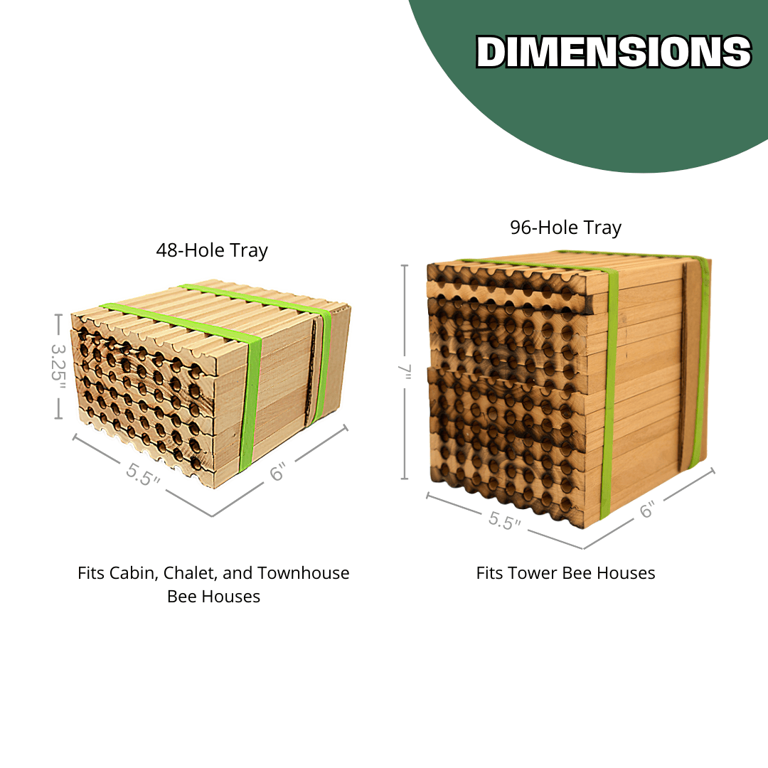Spring Reusable Wood Trays for Mason Bees - 8mm CrownBees