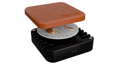 Sprout Silicone Germination Chamber Orange Lid Black Body Root Nerds