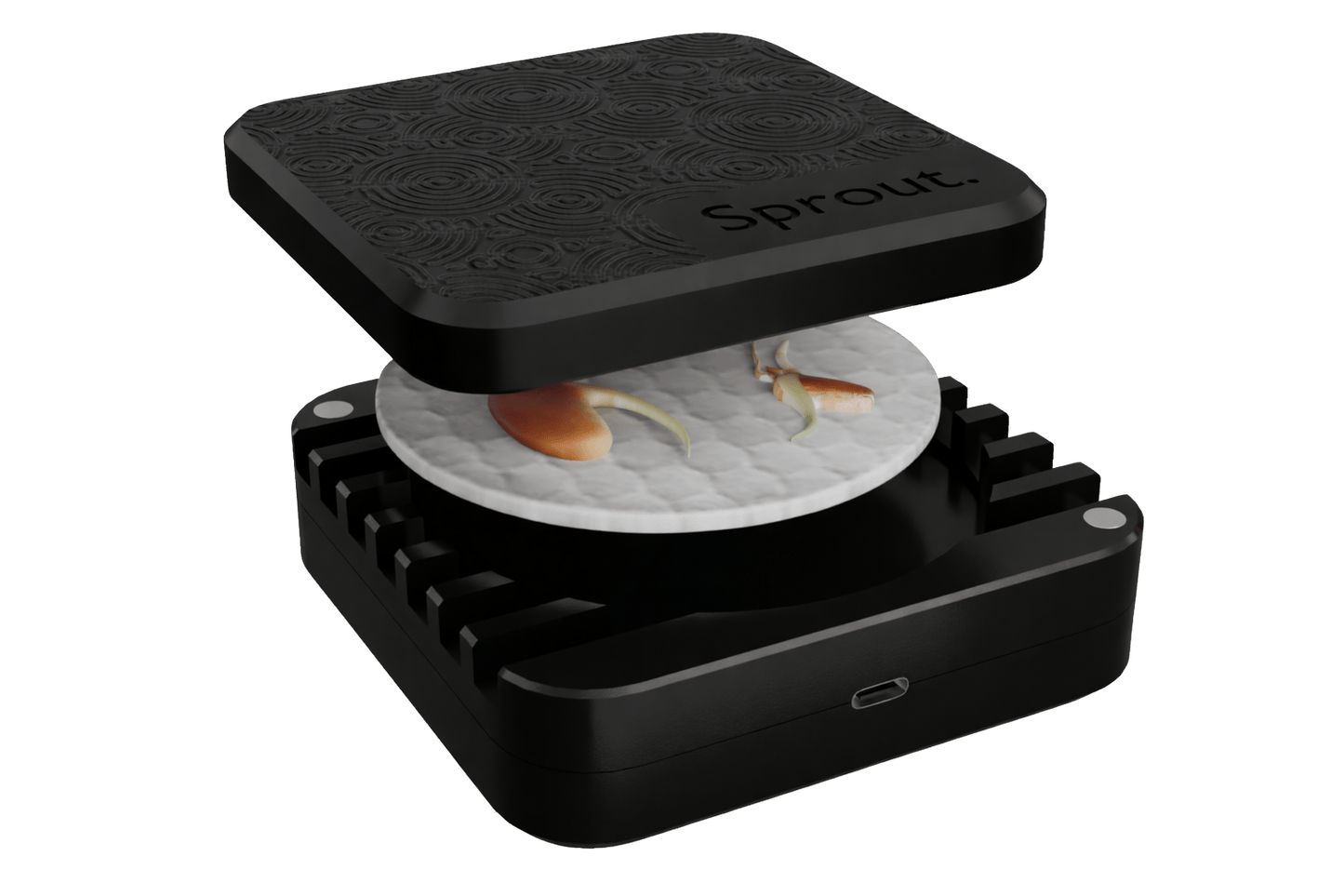 Sprout Silicone Germination Chamber Black Lid Black Body Root Nerds
