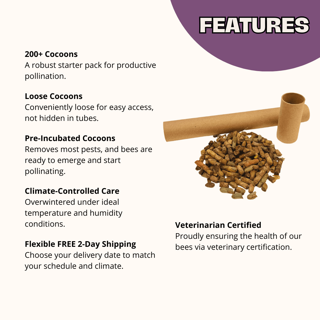 Summer Leafcutter Bees - 200 ct