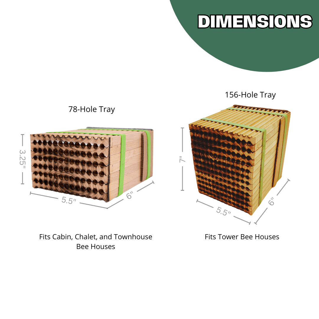 Reusable Wood Trays for Leafcutter Bees CrownBees
