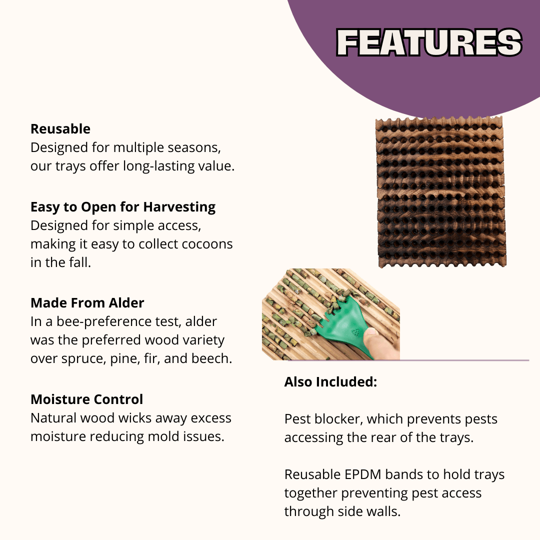 Reusable Wood Trays for Leafcutter Bees CrownBees