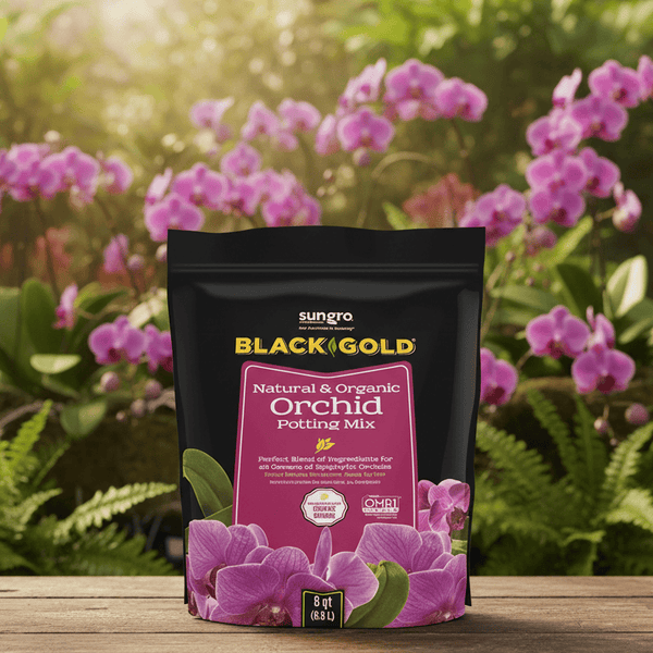 where to buy orchid potting mix near me Black Gold Orchid Mix (8qt)