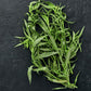 Organic French Tarragon (1 Gallon)