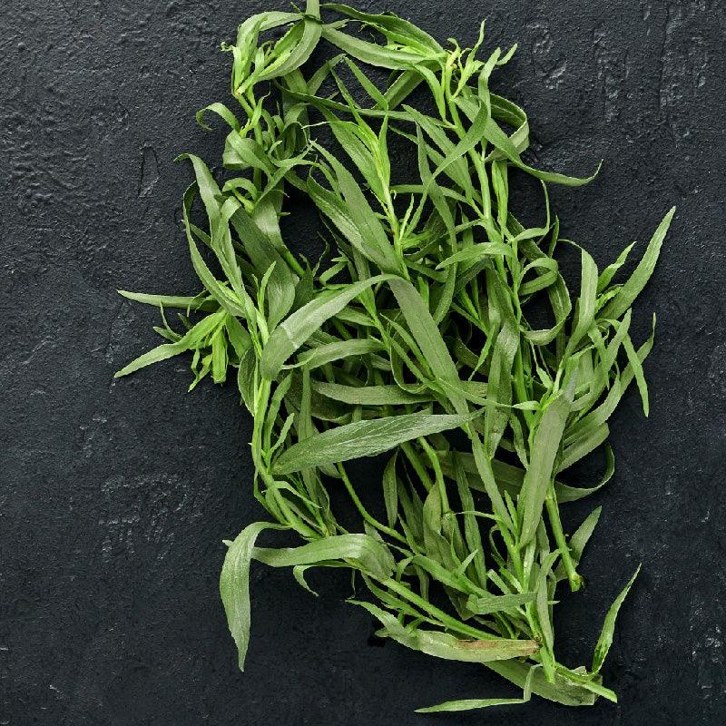 Tarragon Roots Organic French Tarragon (1 Gallon) – Grow Organic