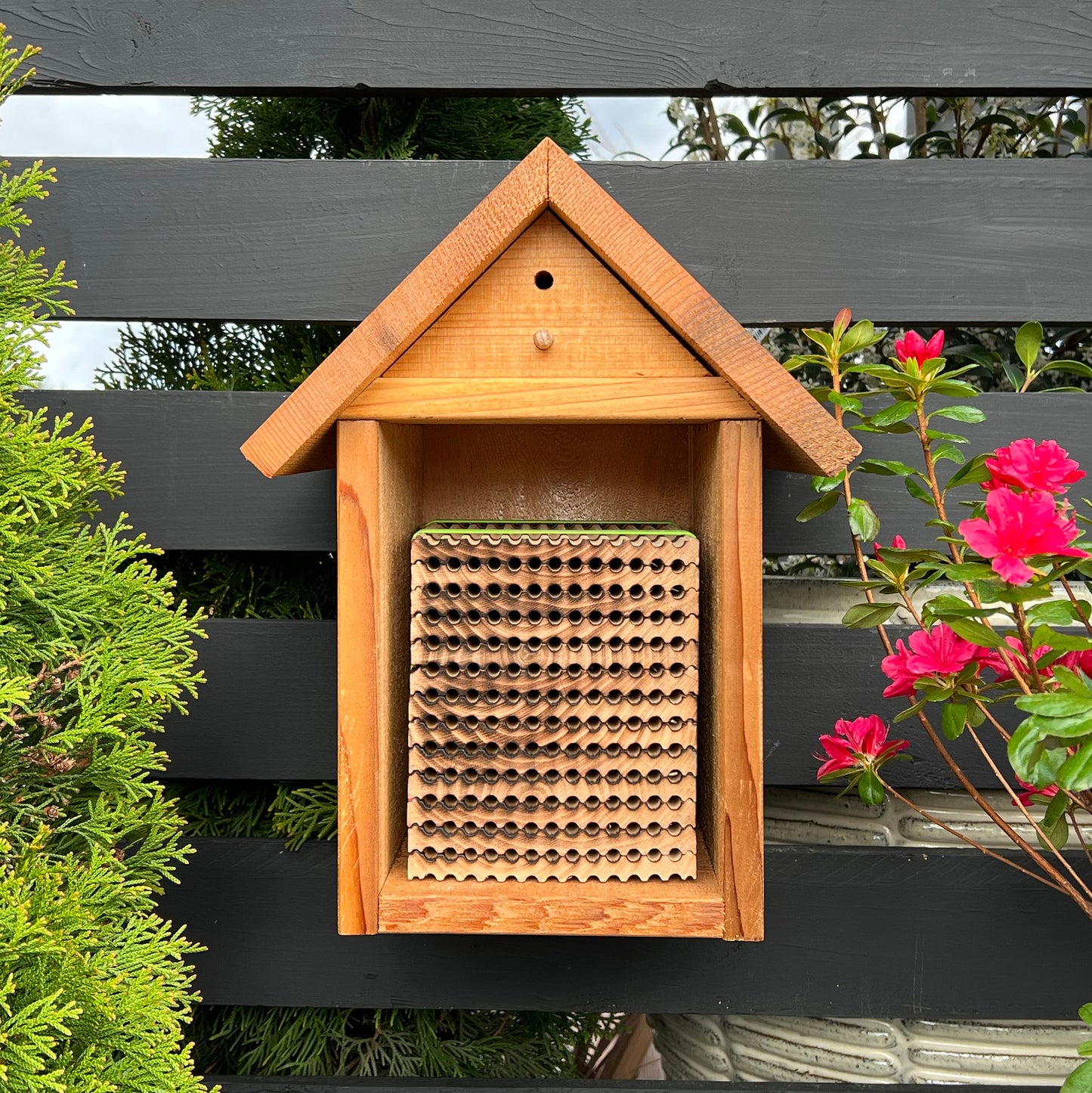 Summer Reusable Wood Trays for Leafcutter Bees