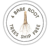 4 bare root trees ship free