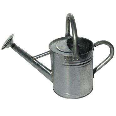 Galvanized Steel Watering Can (8 Qt)