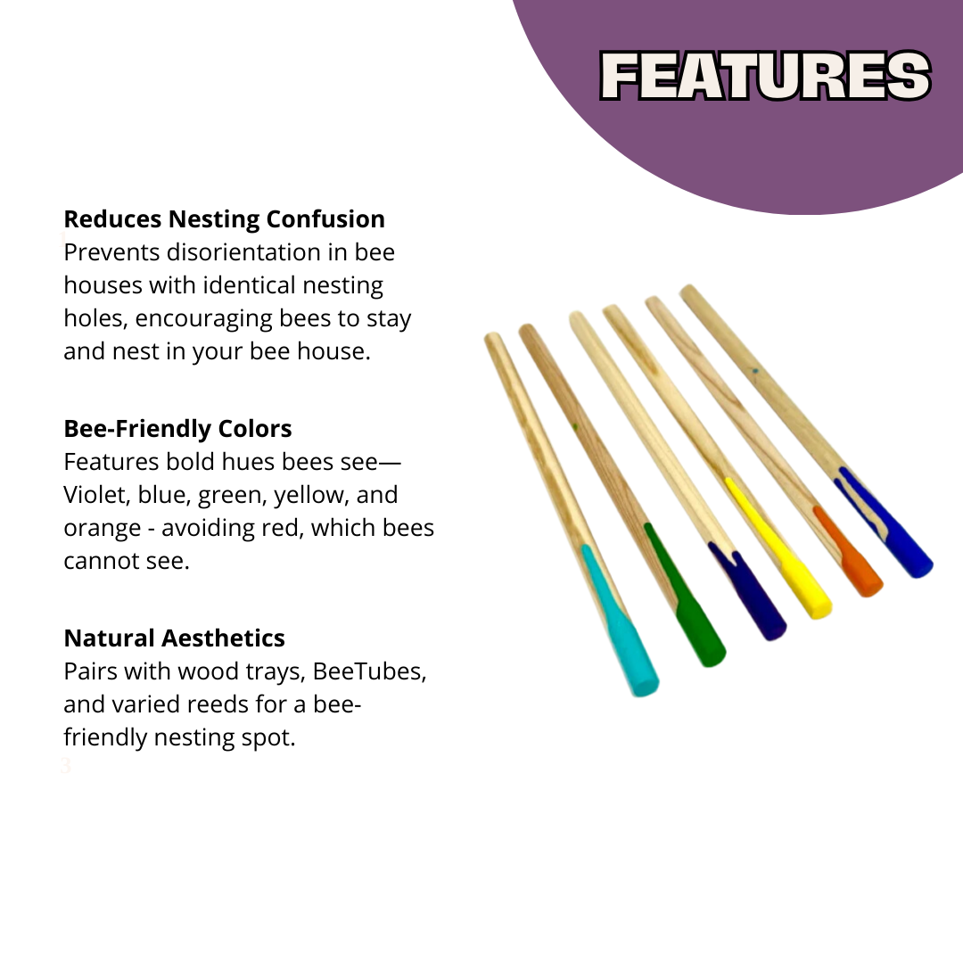 Bee Wayfinders - Mason Bees CrownBees